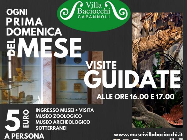 DOMENICHE GUIDATE IN MUSEO