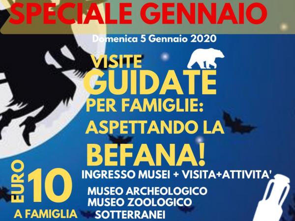 Domenica al Museo- Speciale Gennaio